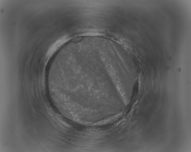X0000067860296200604271717