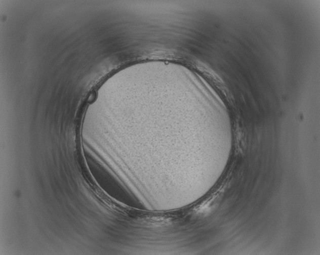 X0000067860298200604271717