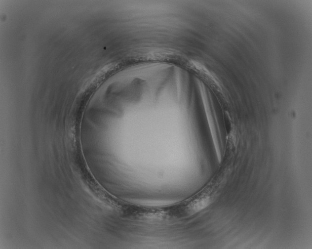 X0000067860306200604271717