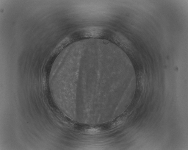 X0000067860312200604271717