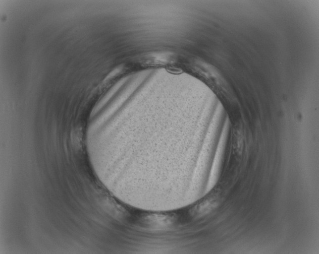 X0000067860326200604271717