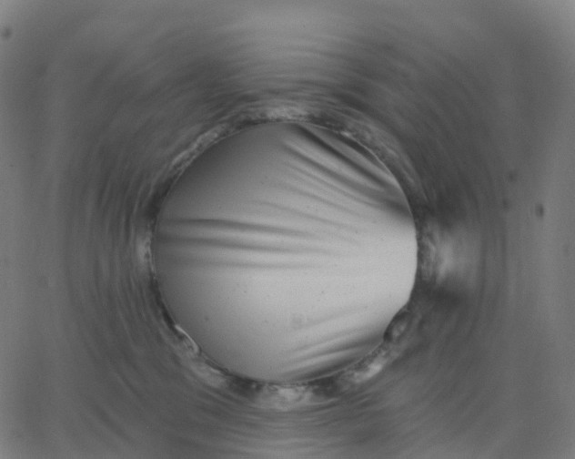 X0000067860329200604271716