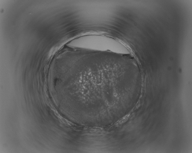 X0000067860337200604271716