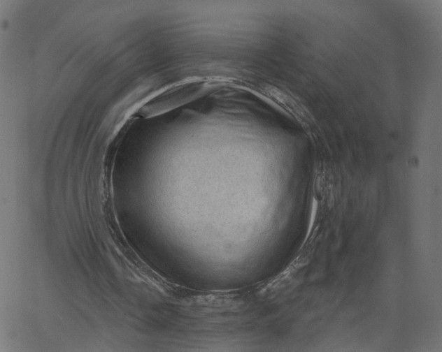 X0000067860338200604271716
