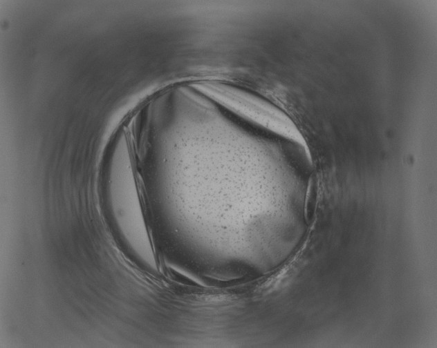 X0000067860342200604271716