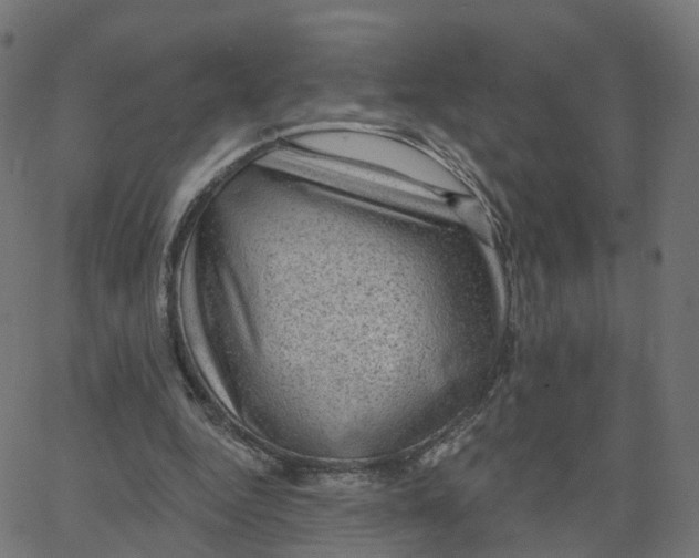 X0000067860344200604271716