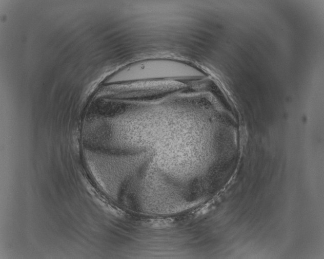 X0000067860345200604271716