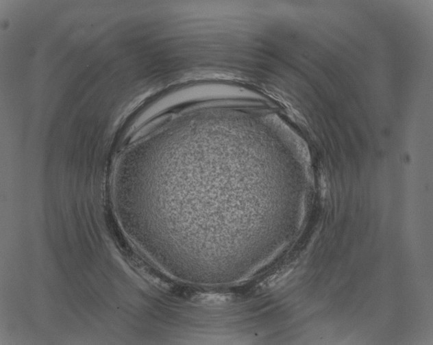X0000067860352200604271716
