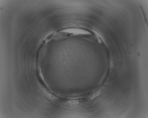 X0000067860353200604271716
