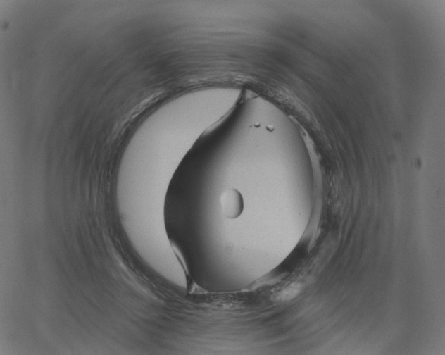 X0000067860356200604271716