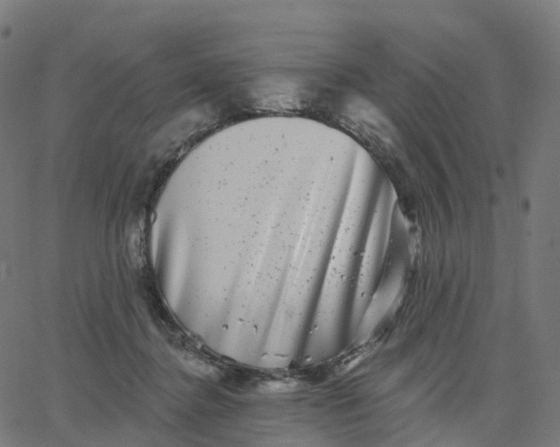 X0000067860364200604271716