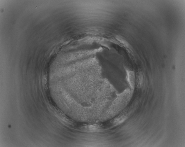 X0000067860365200604271716