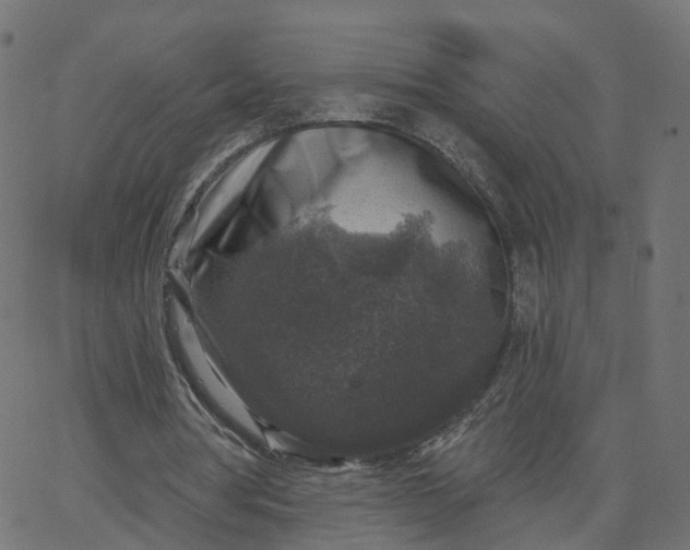 X0000067860386200604271716
