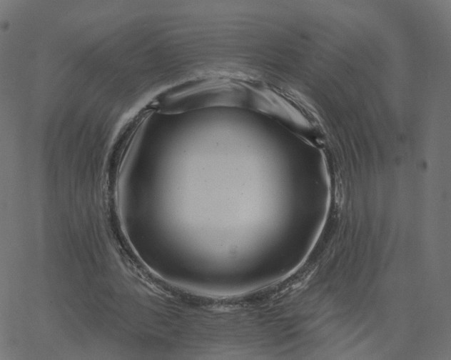X0000067860388200604271716