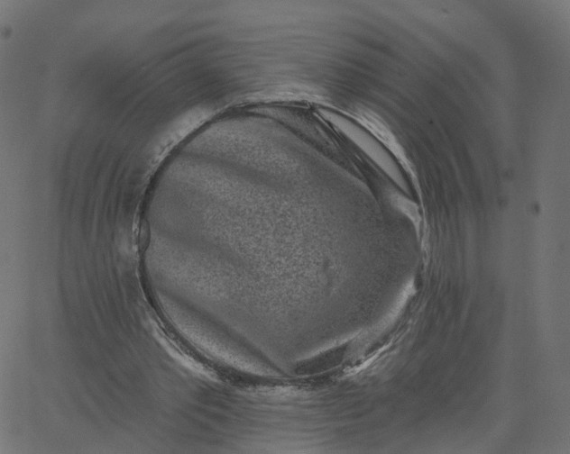 X0000067860389200604271716