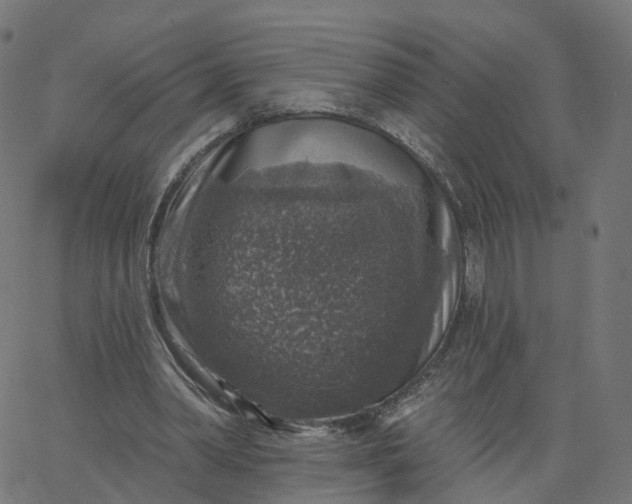 X0000067860390200604271716
