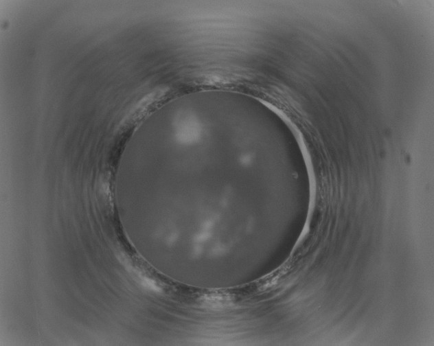 X0000067860415200604271715
