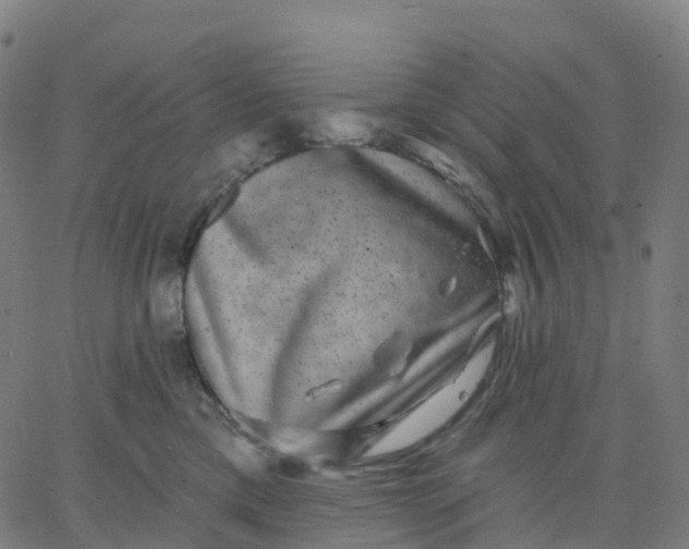 X0000067860425200604271715