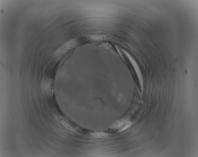 X0000067860428200604271715