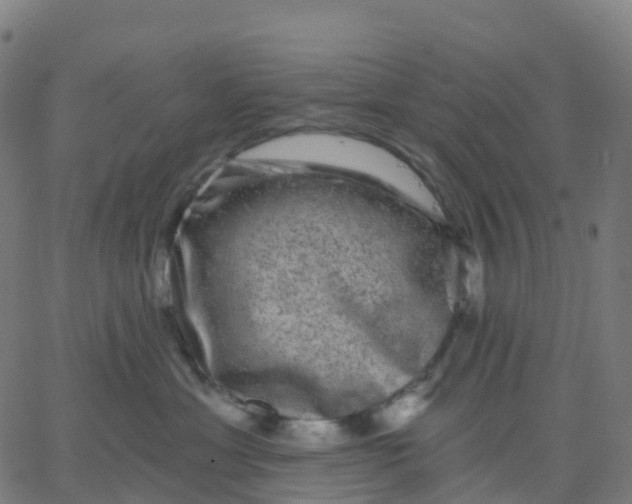 X0000067860429200604271715