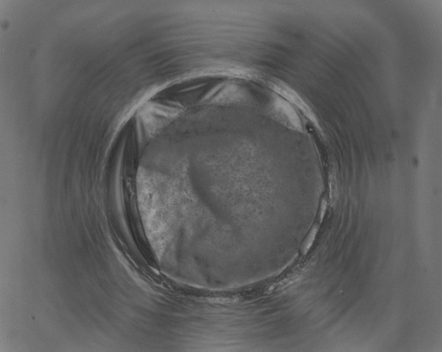X0000067860436200604271714