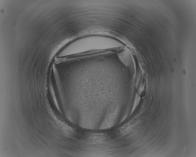 X0000067860438200604271714