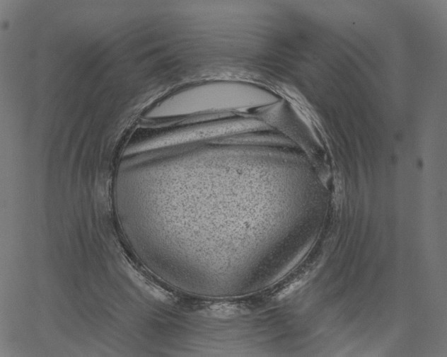 X0000067860441200604271714