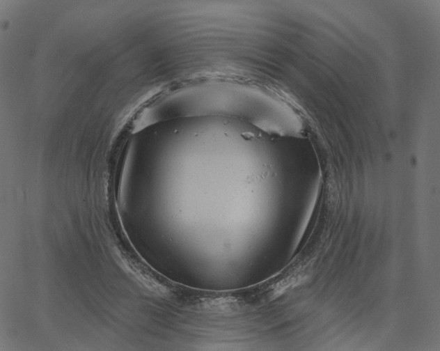 X0000067860446200604271714