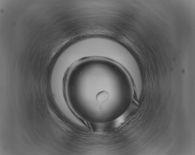 X0000067860448200604271714