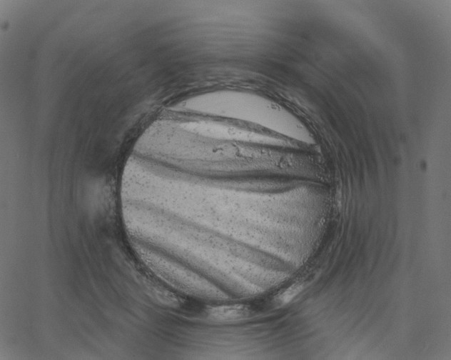 X0000067860461200604271714