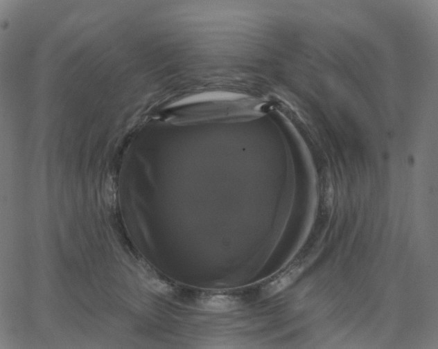 X0000067860467200604271715