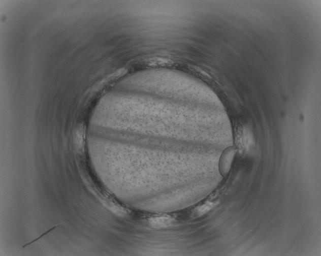 X0000067860468200604271715