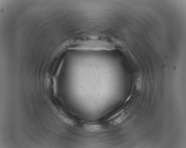 X0000067860476200604271715