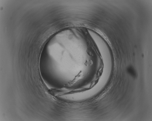 X0000067860481200604271714