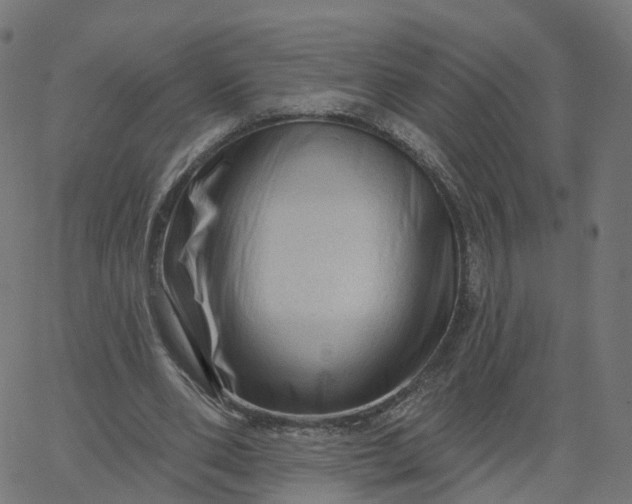 X0000067860486200604271714
