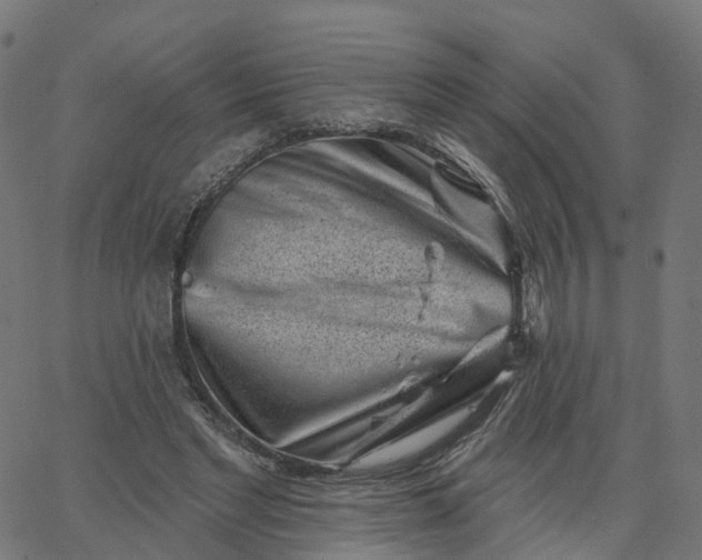 X0000067860493200604271714