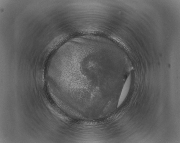 X0000067860494200604271714