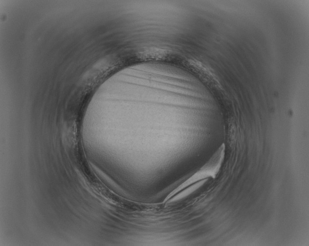 X0000067860498200604271714