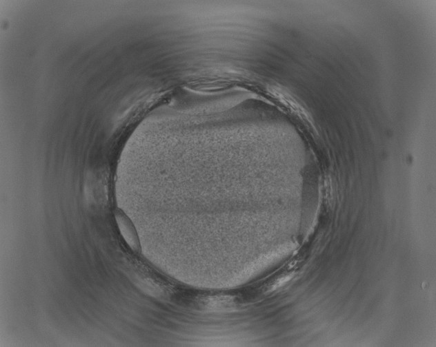 X0000067860501200604271714