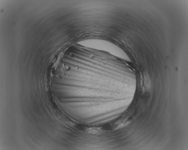 X0000067860508200604271714