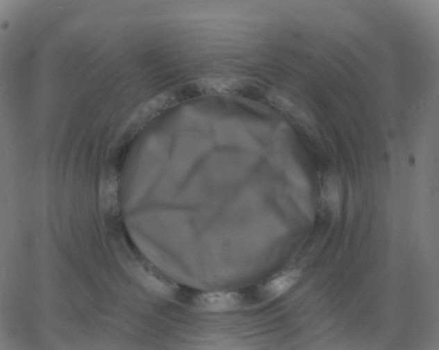 X0000067860526200604271713