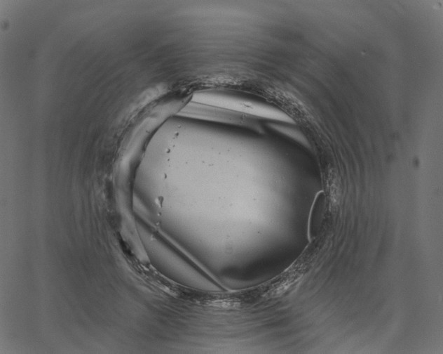 X0000067860546200604271713