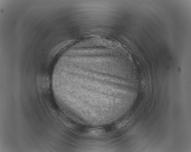 X0000067860555200604271713