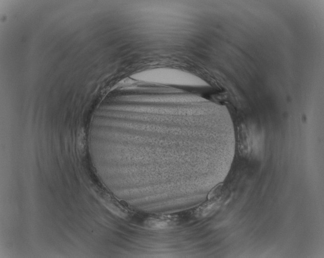 X0000067860563200604271713
