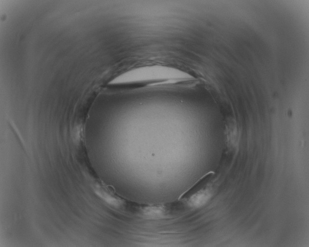 X0000067860574200604271713