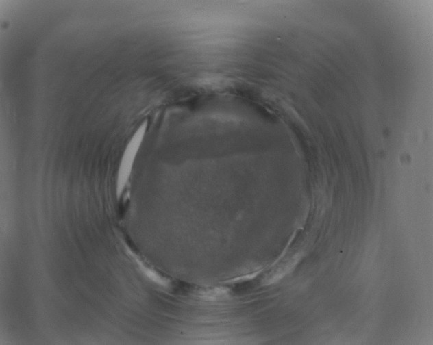 X0000067860576200604271713