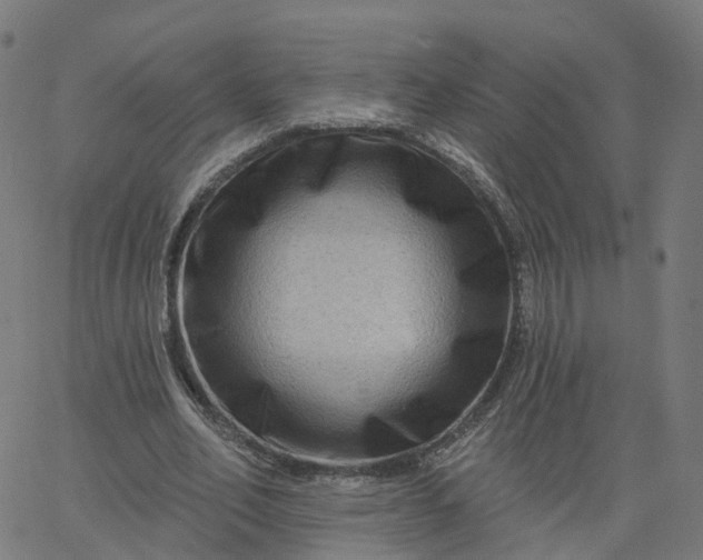 X0000067860582200604271712