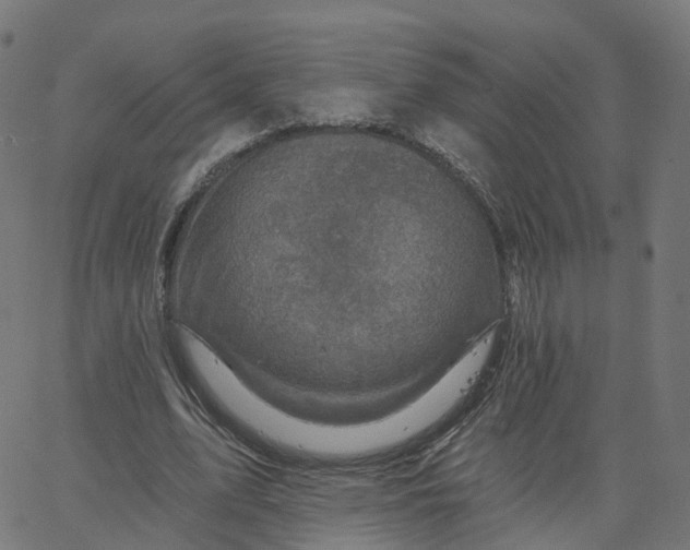 X0000067860583200604271712