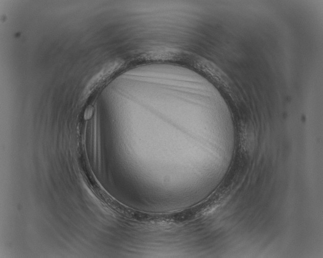 X0000067860586200604271712
