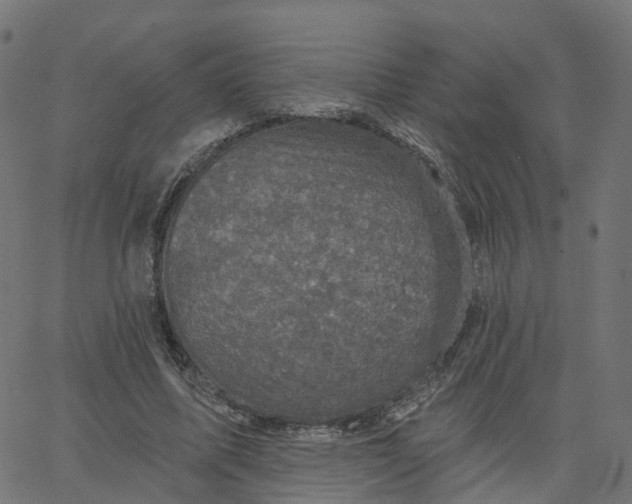 X0000067860587200604271712
